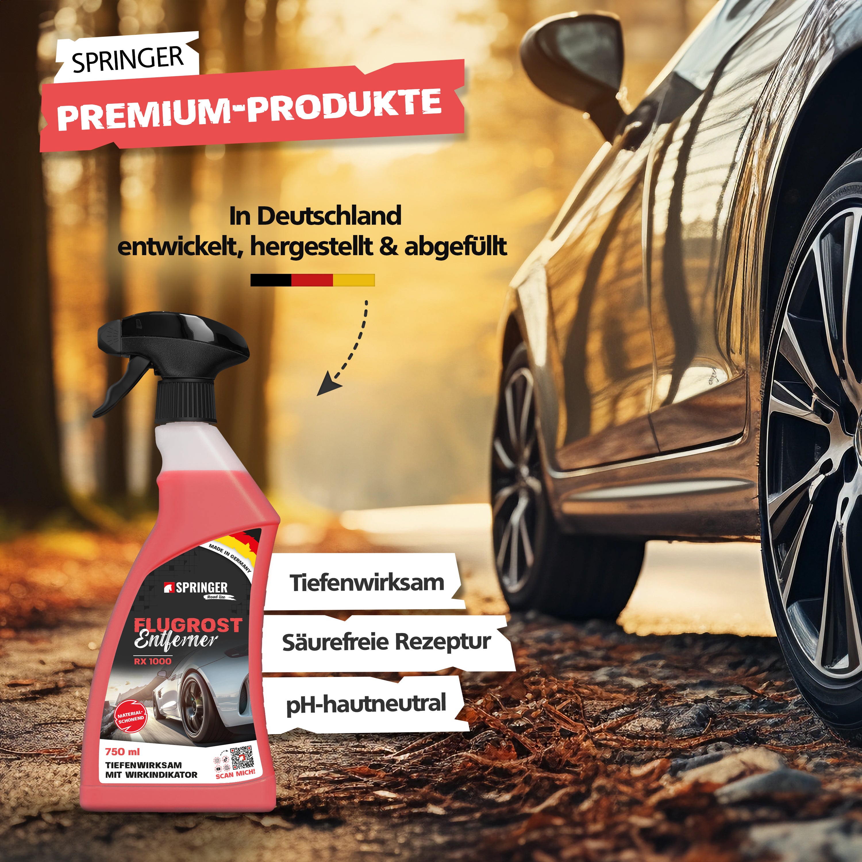 SPRINGER - RX1000 - Flugrostentferner - Made in Germany