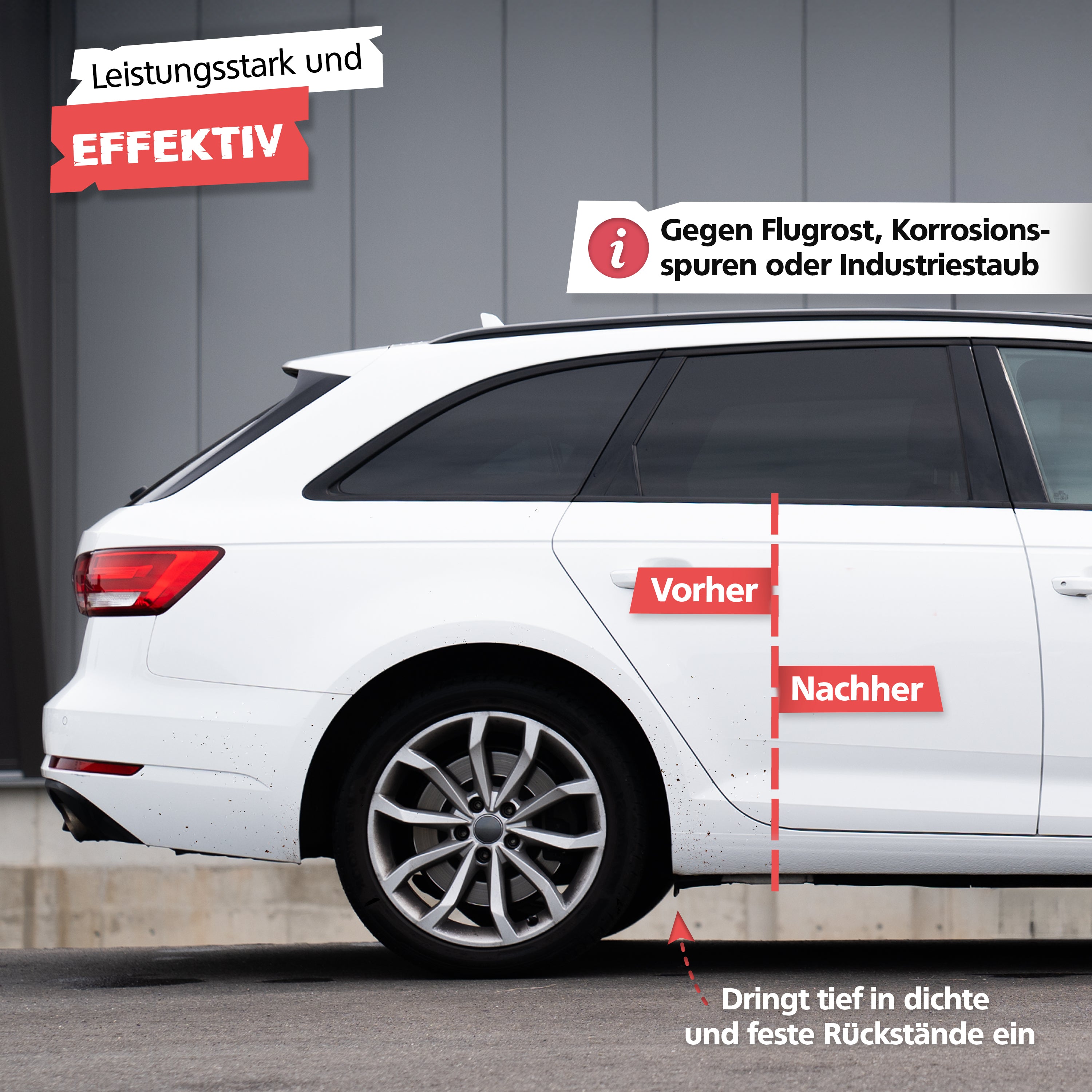 SPRINGER - RX1000 - Flugrostentferner - Made in Germany