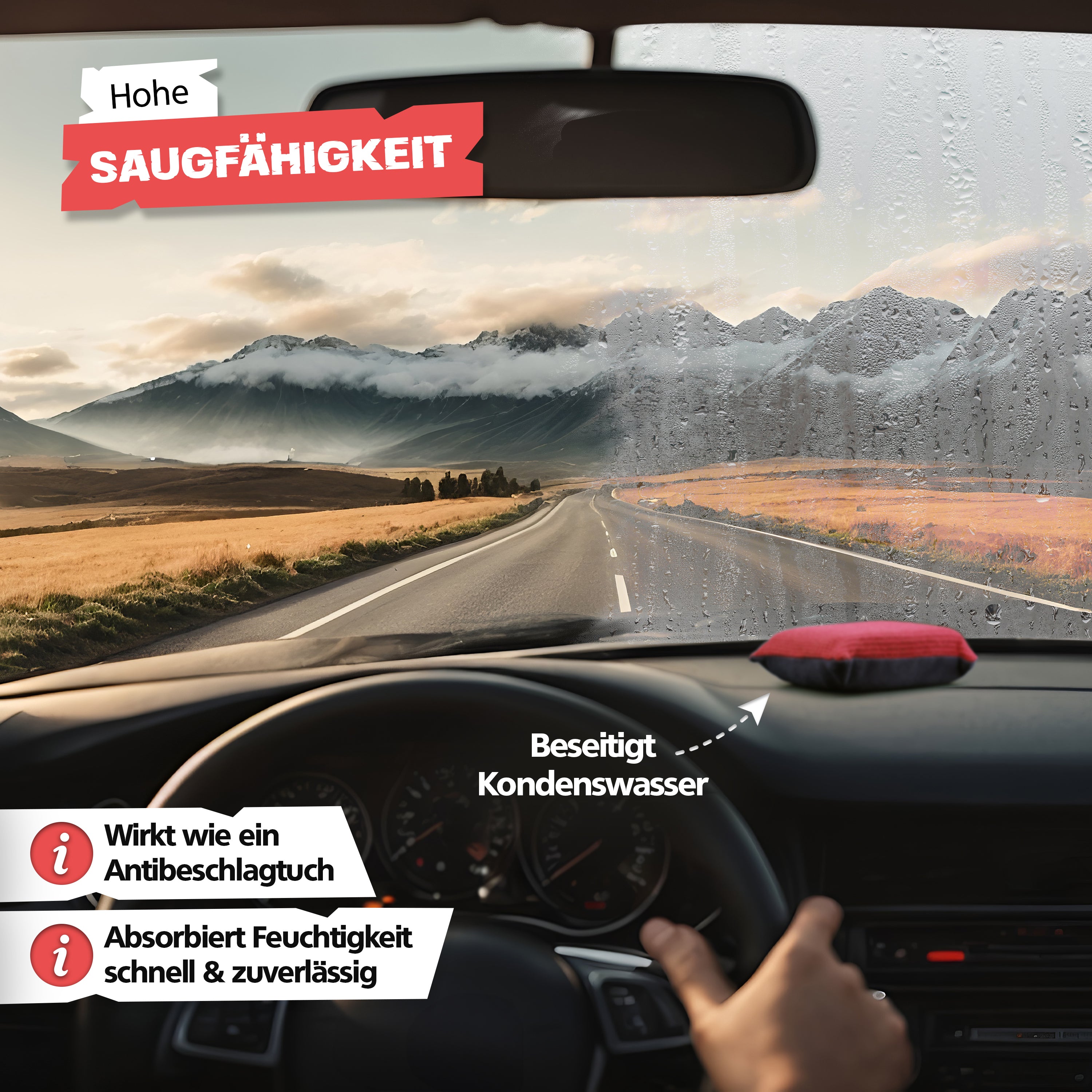 SPRINGER - ZX1200 - 2 in 1 Scheibenschwamm - Assembled in Germany