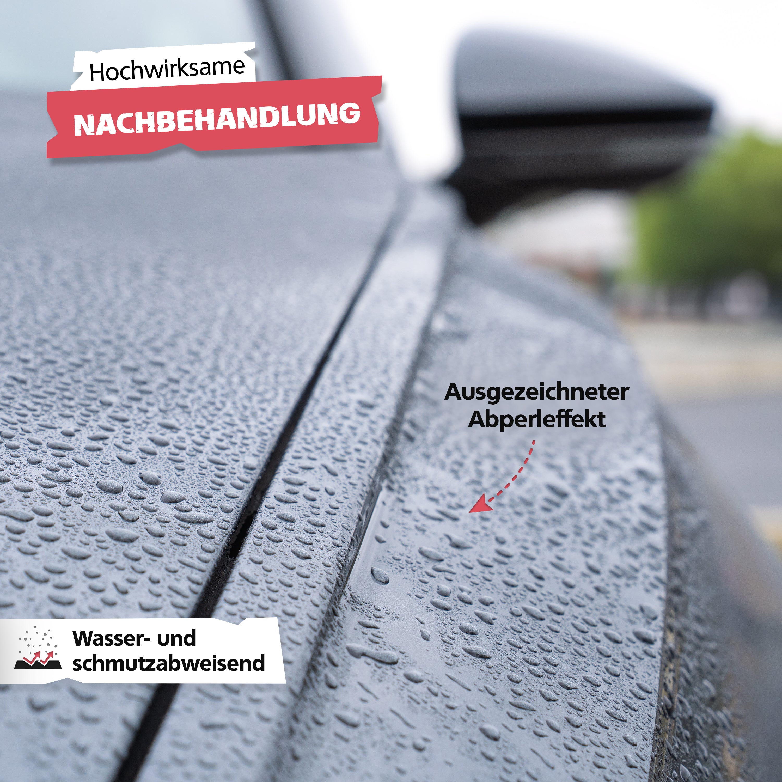 SPRINGER - RX5410 - Lack Detailer - Made in Germany