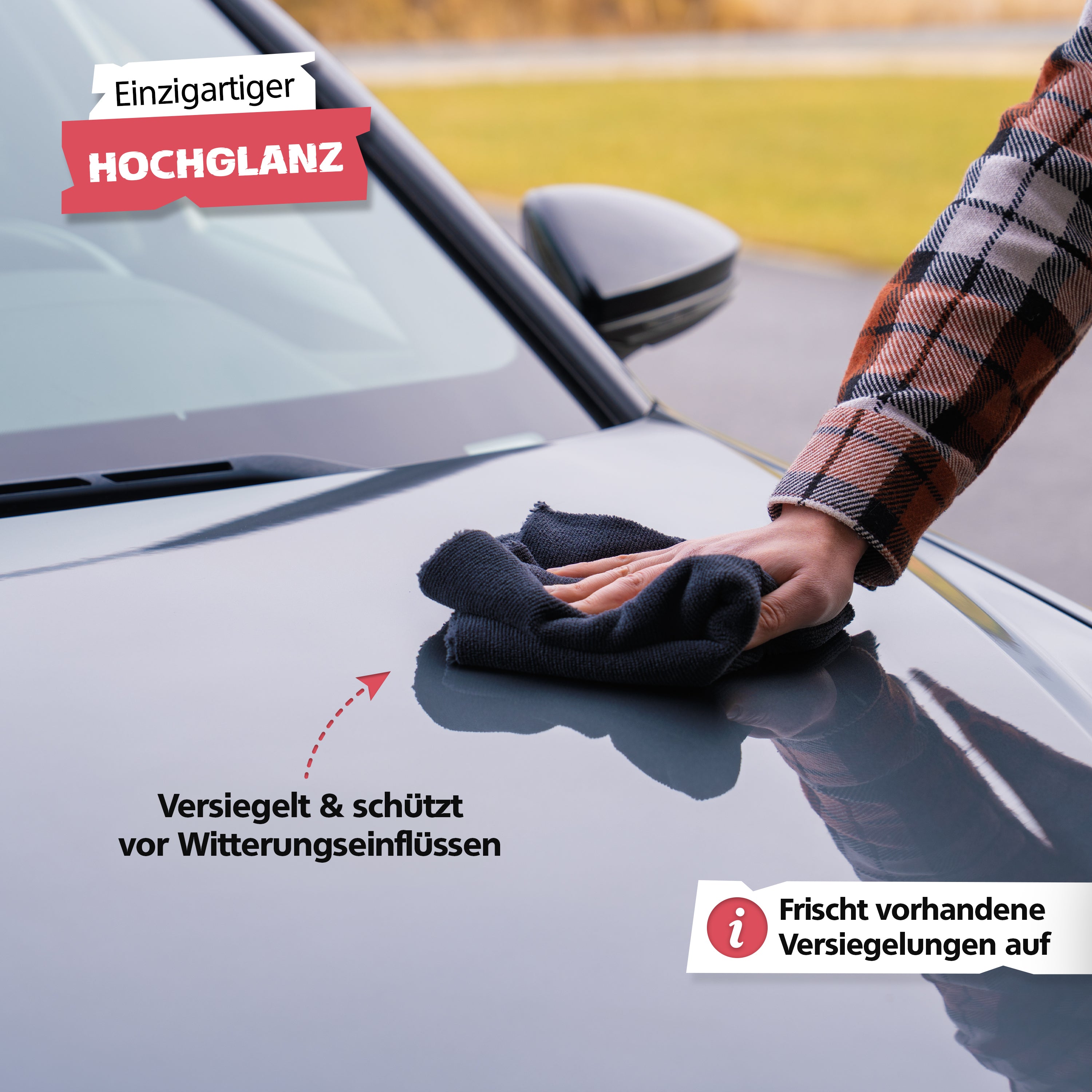 SPRINGER - RX5410 - Lack Detailer - Made in Germany