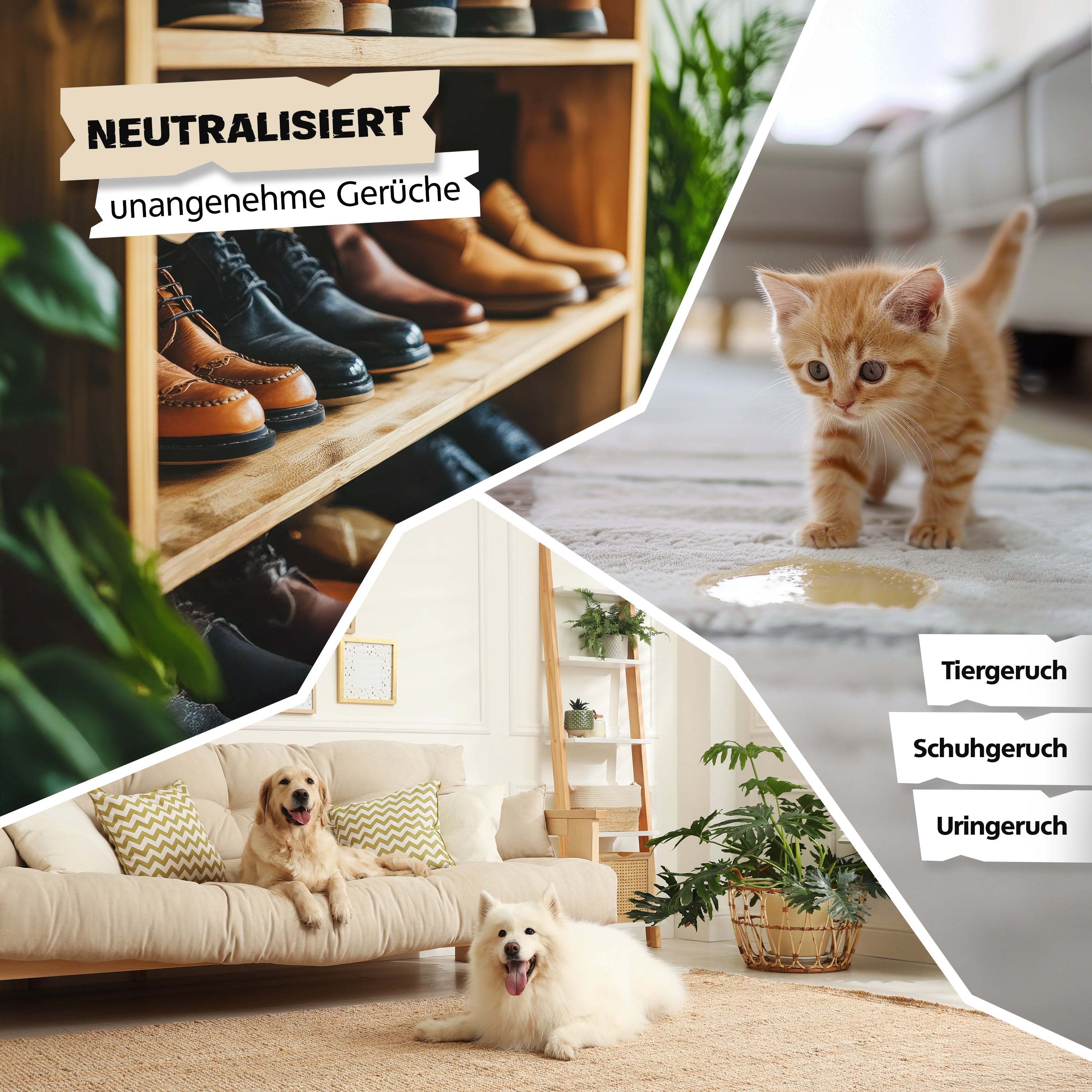 SPRINGER - CX3000 - Geruchsentferner - Made in Germany