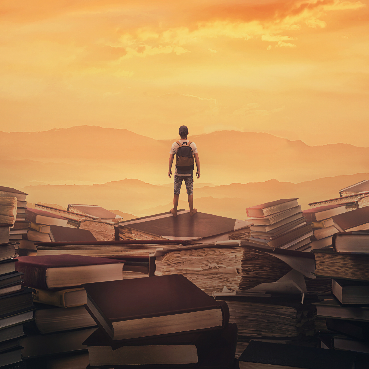 Ein Mann steht auf einem Berg überdimensionaler Bücher und schaut in die Ferne.