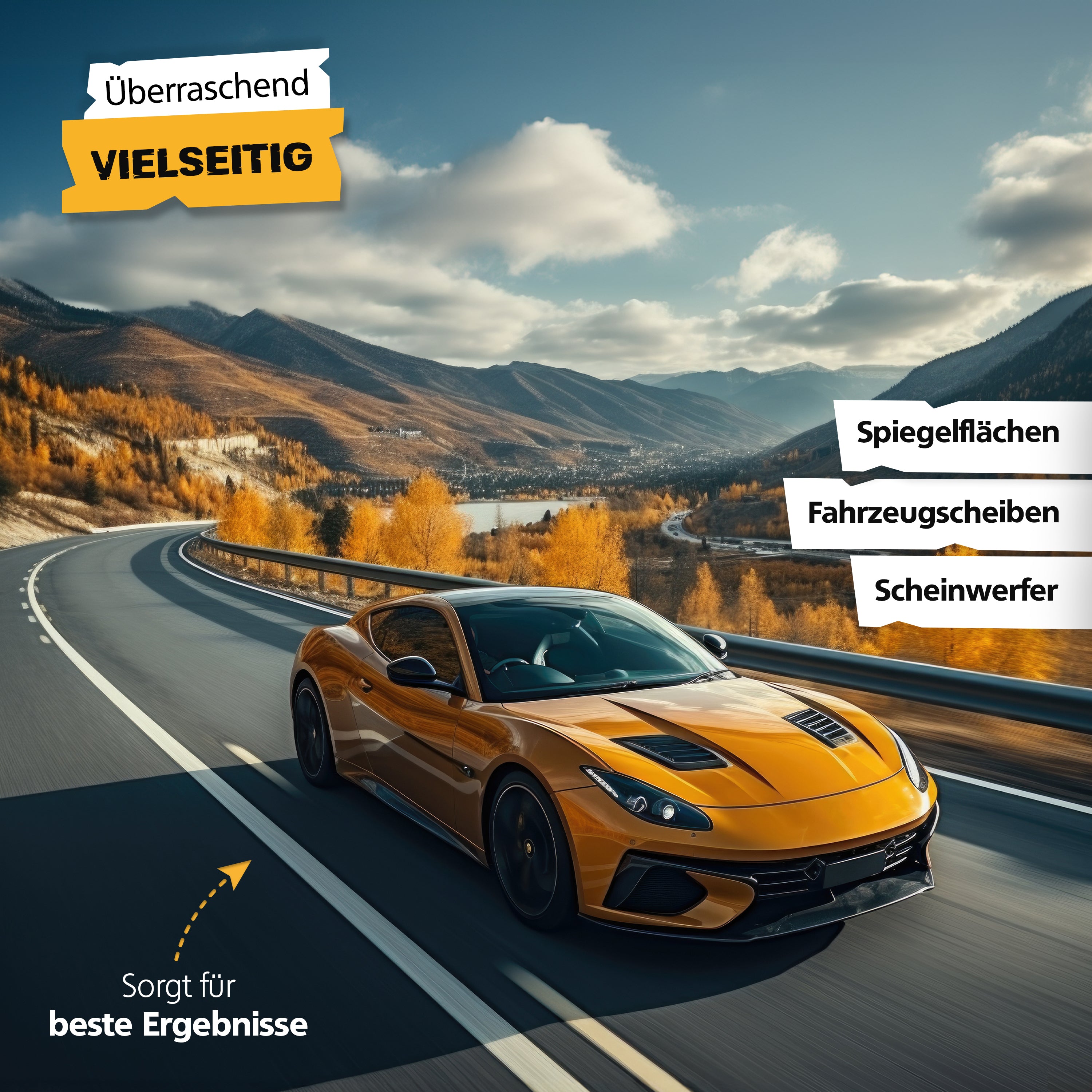 RX5200 - Auto-Scheibenreiniger