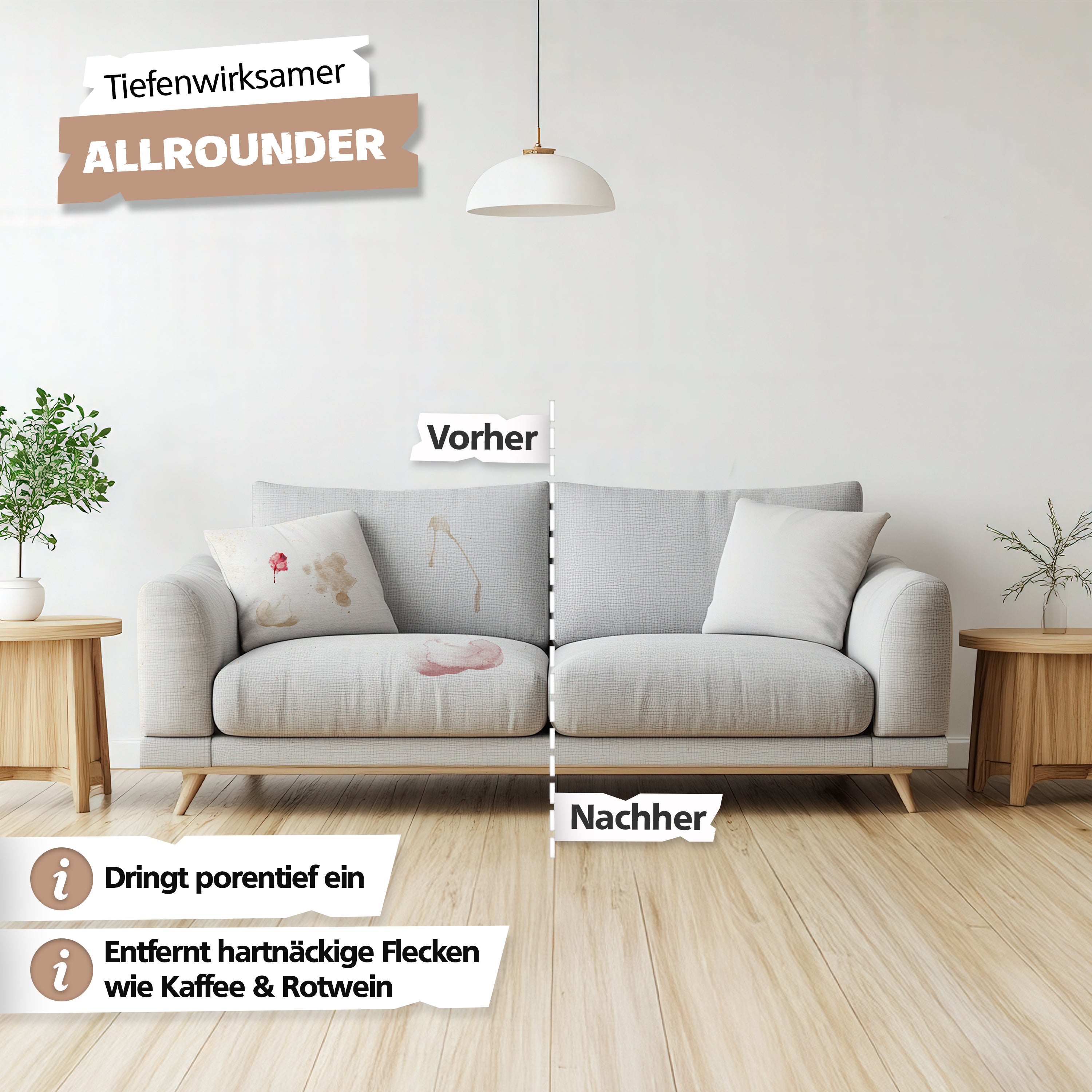 SPRINGER - RX5800 - Polsterreiniger - Made in Germany