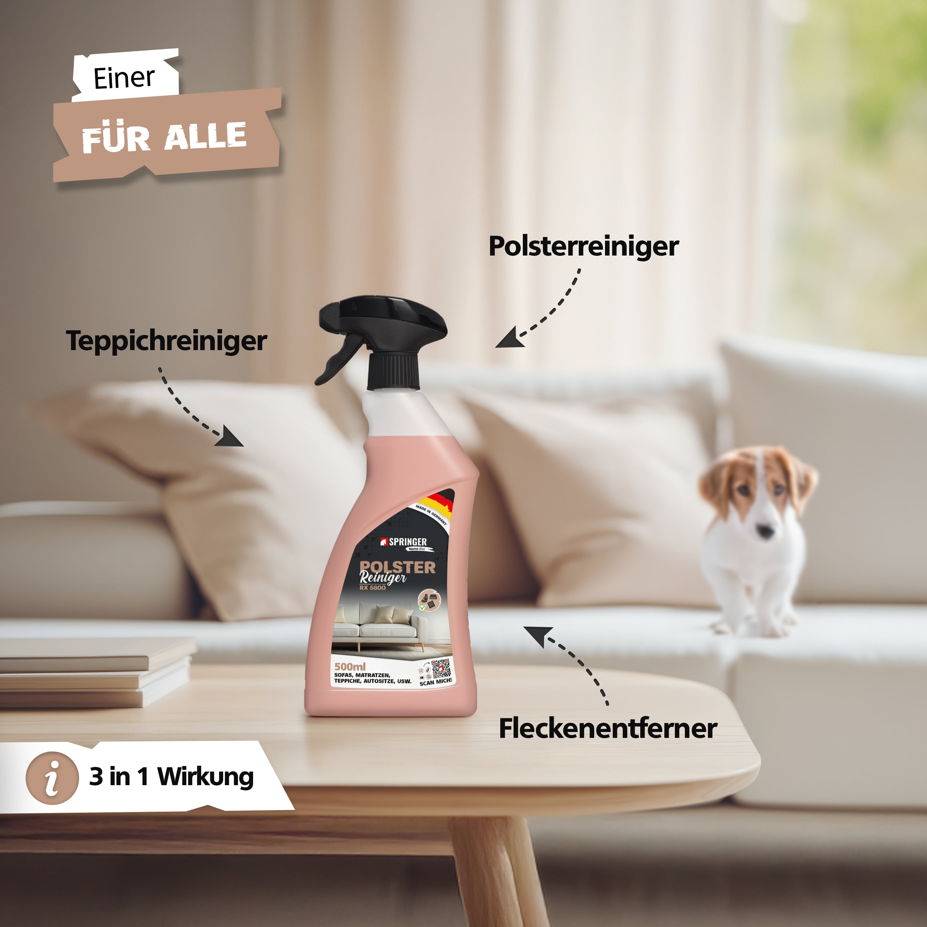 SPRINGER - RX5800 - Polsterreiniger - Made in Germany